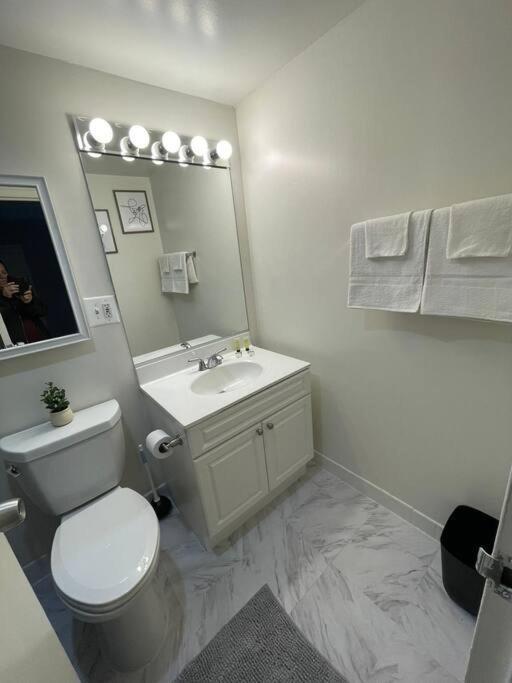 Charming Apartment At Crystal City With Amazing Amenities Arlington Esterno foto